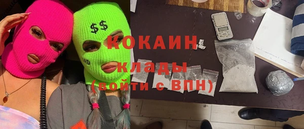 гидра Бронницы